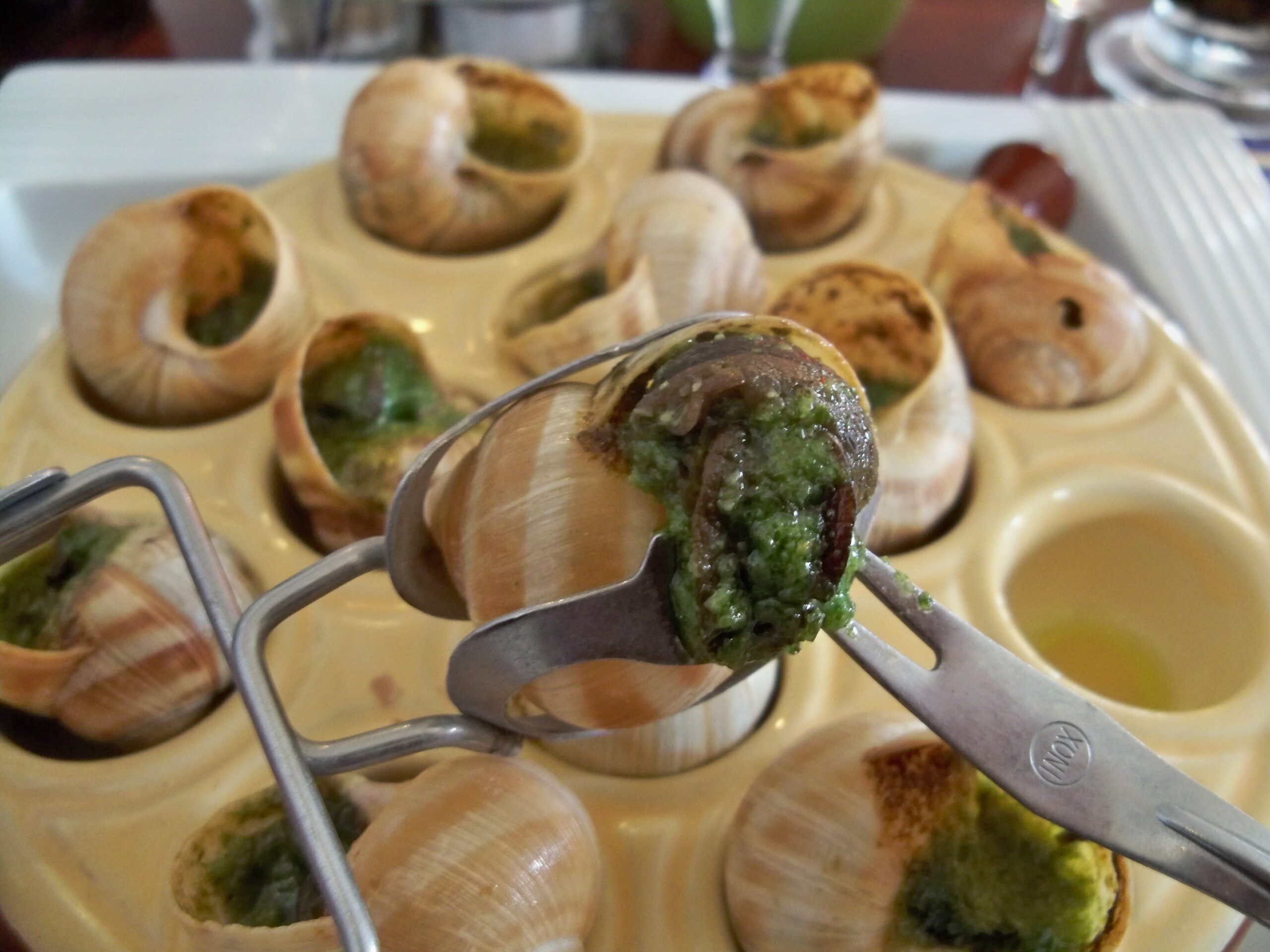 Escargots_3